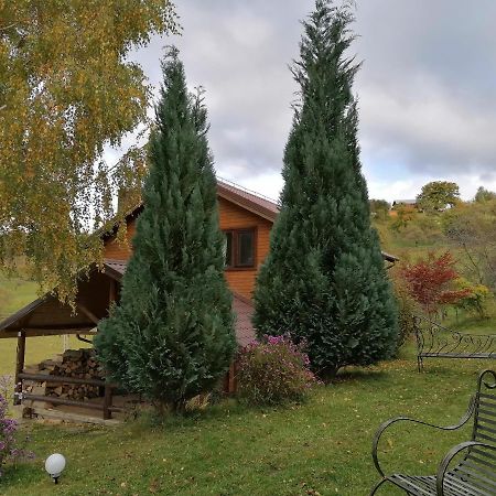 Casa Zara Villa Bran  Dış mekan fotoğraf