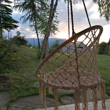 Casa Zara Villa Bran  Dış mekan fotoğraf