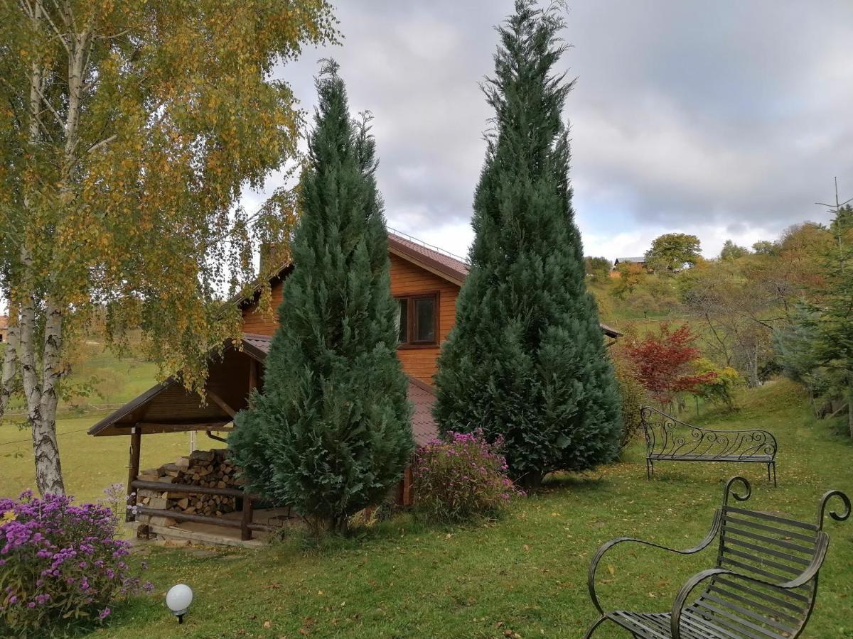 Casa Zara Villa Bran  Dış mekan fotoğraf