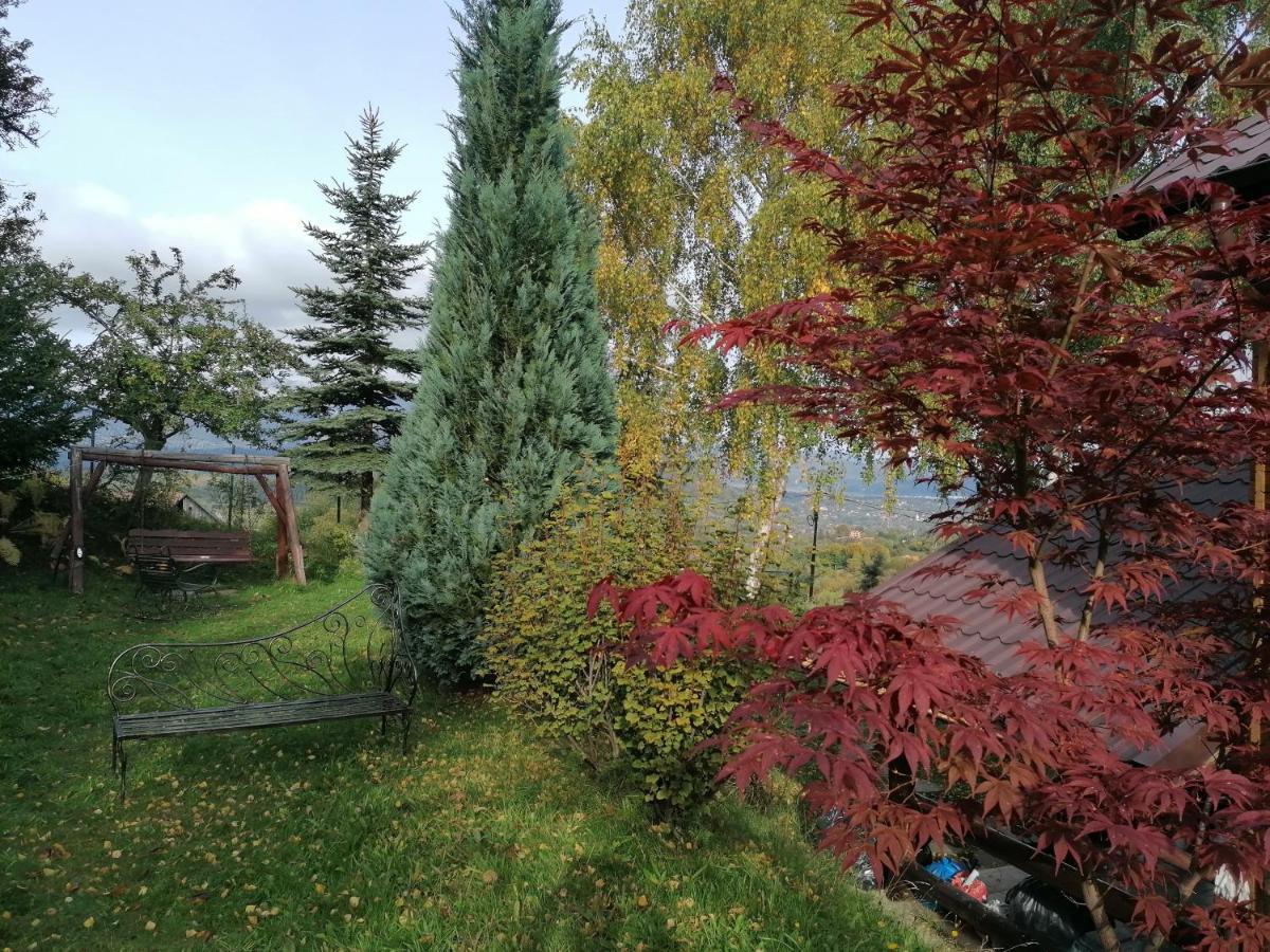 Casa Zara Villa Bran  Dış mekan fotoğraf