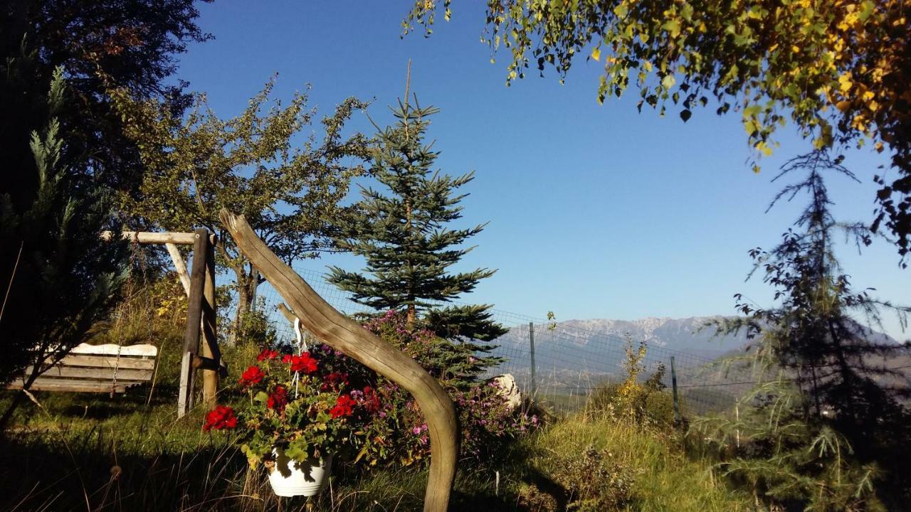 Casa Zara Villa Bran  Dış mekan fotoğraf