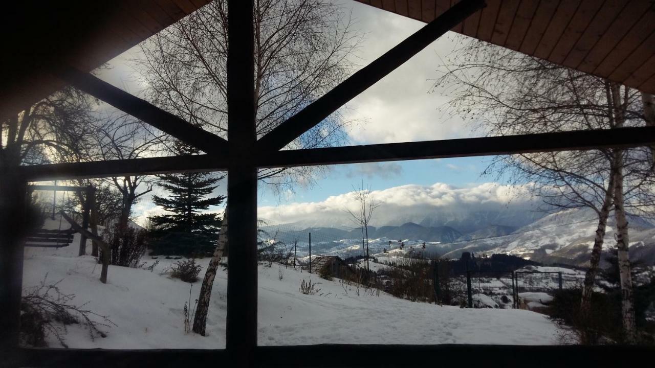 Casa Zara Villa Bran  Dış mekan fotoğraf