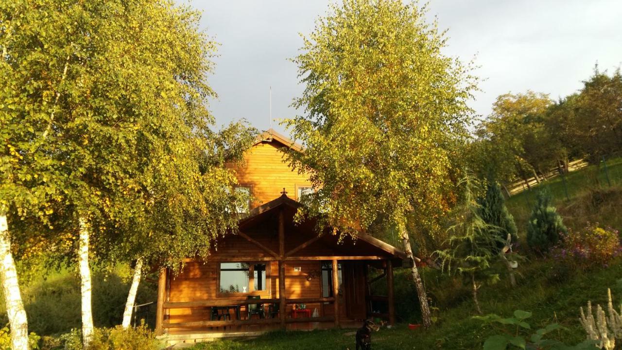 Casa Zara Villa Bran  Dış mekan fotoğraf
