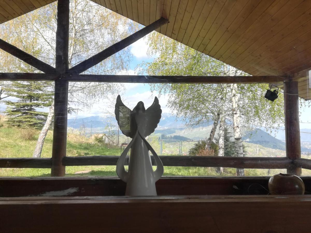 Casa Zara Villa Bran  Dış mekan fotoğraf